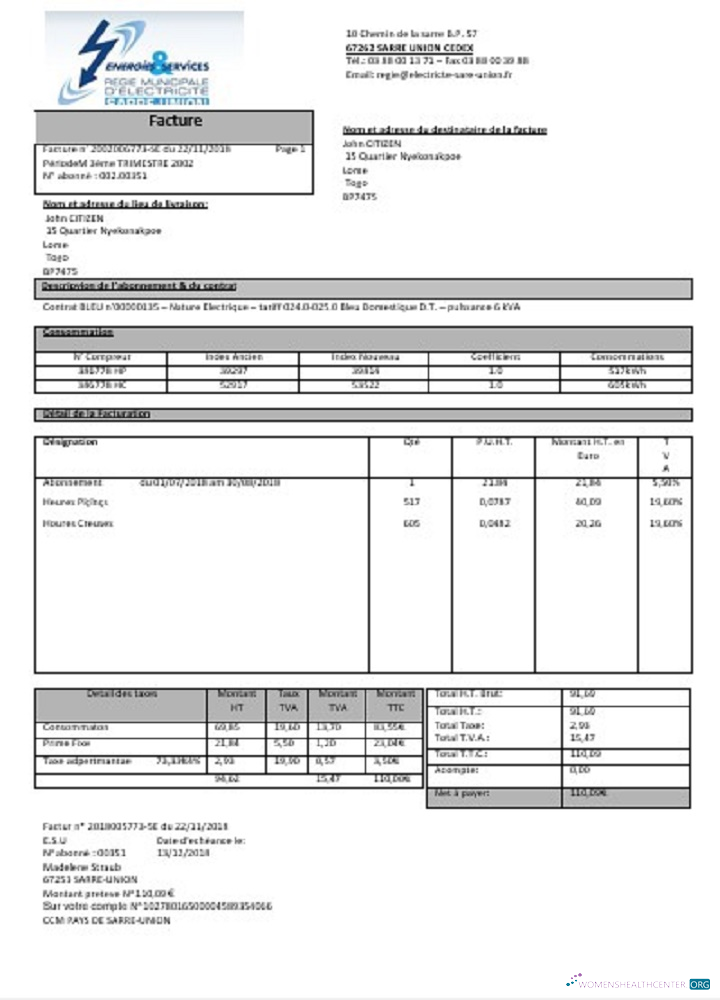 download download France Energies & Services Régie Municipal d’ Electricité Sarre Union electricity utility bill